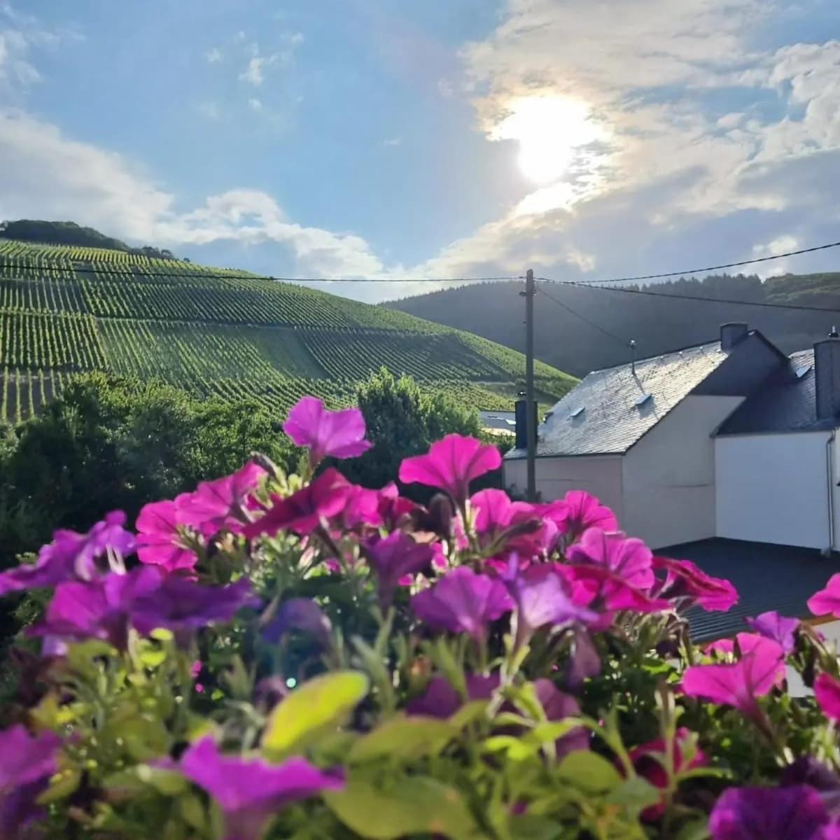 Gasthof Zur Grafschaft Veldenz المظهر الخارجي الصورة