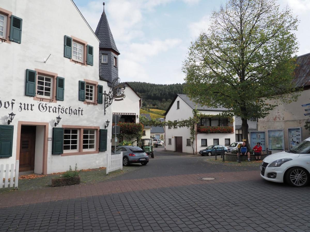 Gasthof Zur Grafschaft Veldenz المظهر الخارجي الصورة